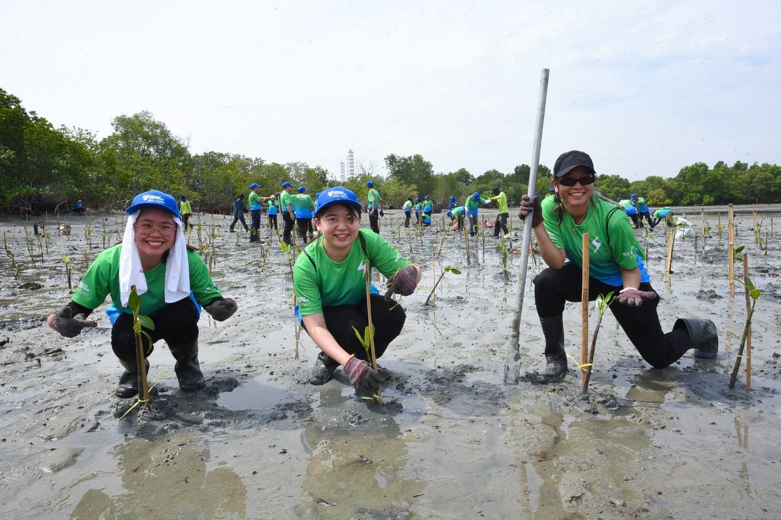 Komitmen dividen TNB bukan sekadar memberi ganjaran kepada pemegang saham kenara ia menyumbang secara langsung kepada p     embangunan rakyat dan negara. Ini mencerminkan aspirasi TNB untuk menjana nilai sambil menyalurkan semula manfaat kepada negara.